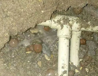 清苑卫生间测漏